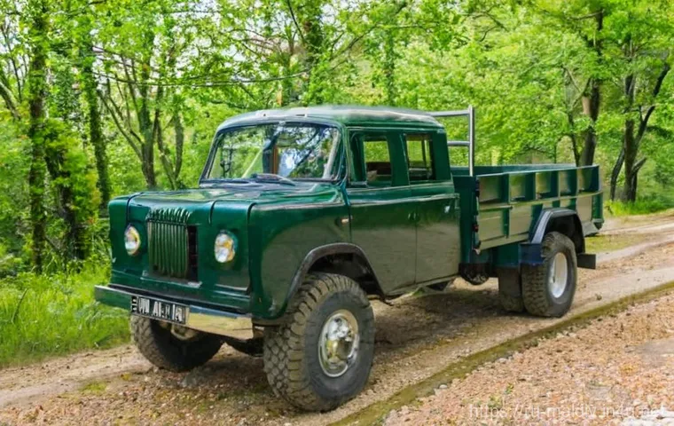 몰디브 돌고래 크루즈 - Here are three detailed image prompts in English: