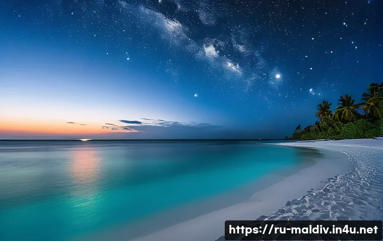 몰디브 바베큐 디너 관련 이미지 2